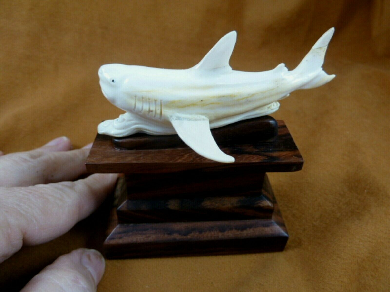 (shark-6) Great White Shark Display Figurine Of Shed Moose Antler Bali Carving