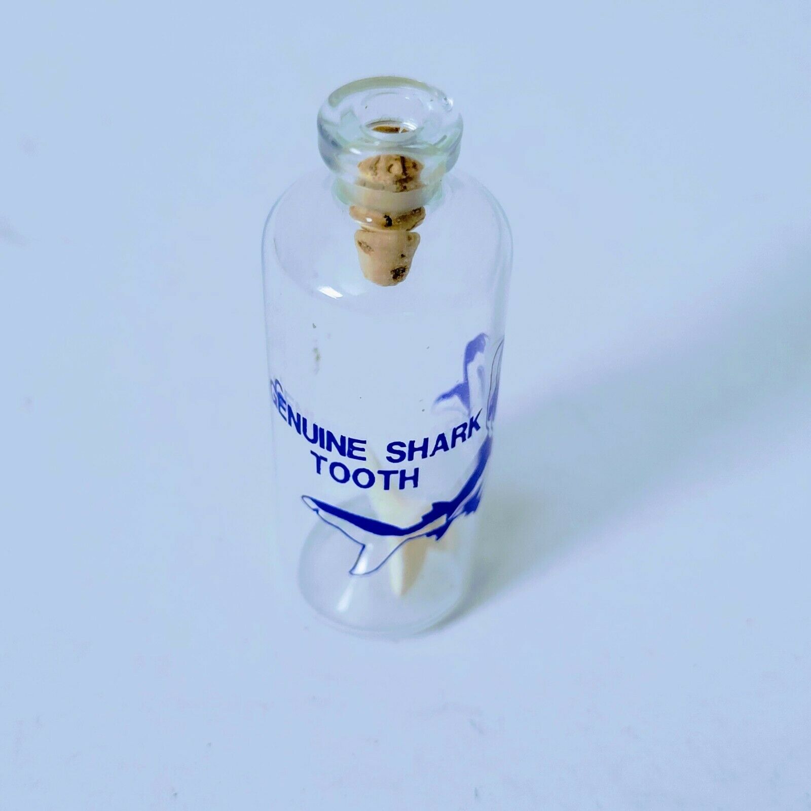 Genuine Shark Tooth 3/4" Sealed Bottle Measures 2 1/4" X 7/8"