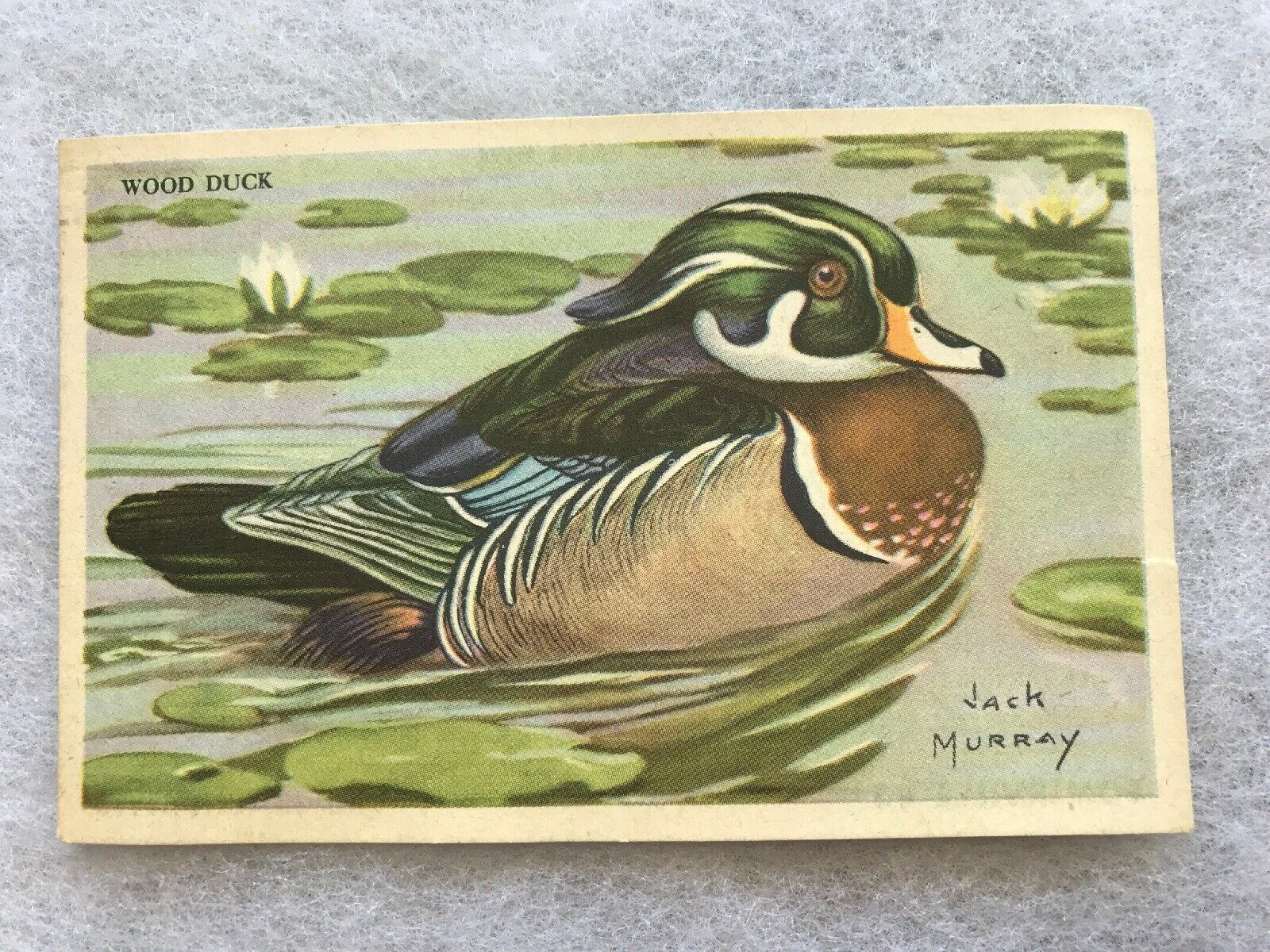 King Arthur Flour Birds Of American Collector Vintage Card, Somerville, Mass.