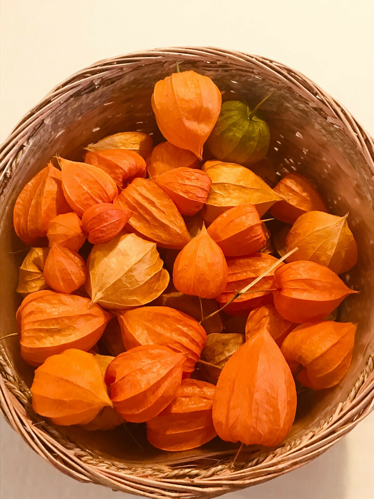 15 Chinese Lantern (physalis Alkekengi) Orange Dried Seed Pods 3/4" - 2 1/2"
