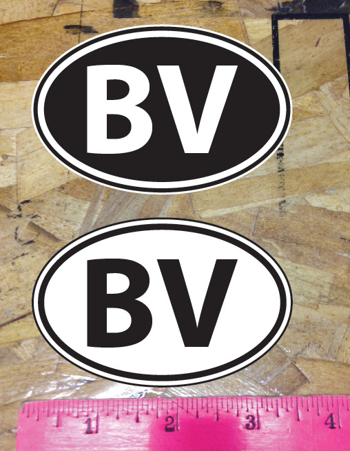Bv Buena Vista Or Bear Valley Mountain Colorado Oval Sticker Summer Winter 2for1