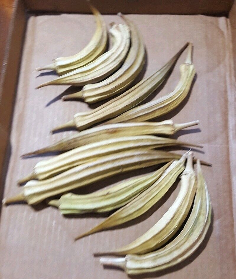 12 Natural Dried Sturdy Okra Pods Organically Grown Great For Arts And Crafts