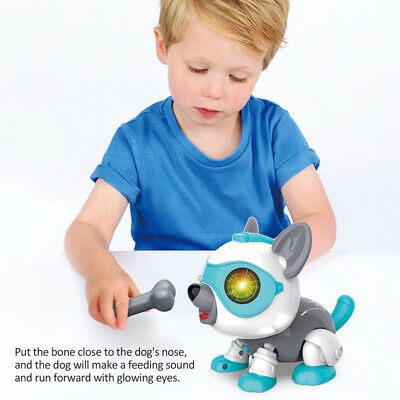 Robot Dog W/ Bone Diy Interactive Puppy Touch/ Voice Control Toys For Kids Gifts